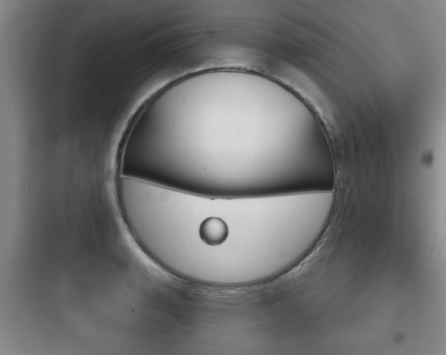 X0000097951135200803241013