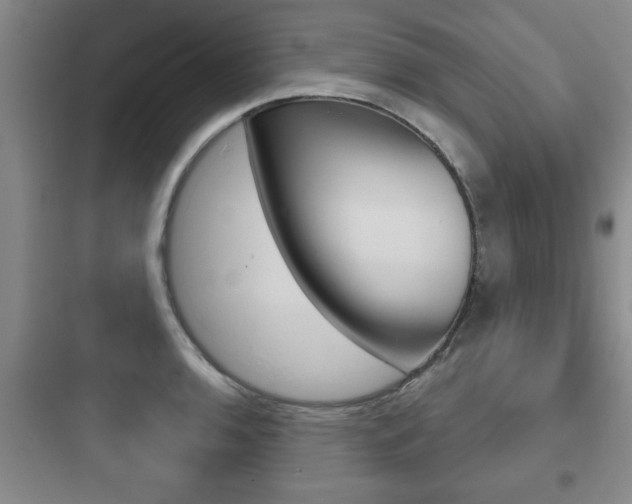 X0000097951136200803241013