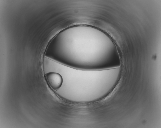 X0000097951137200803241013