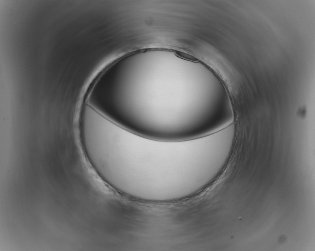 X0000097951138200803241013