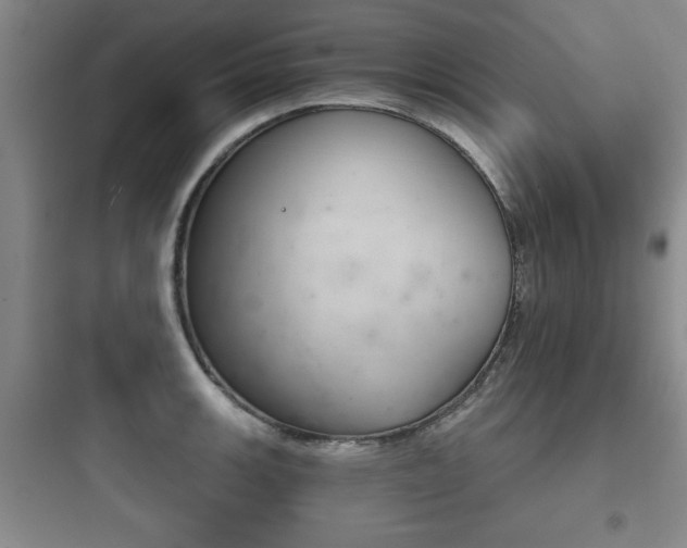 X0000097951139200803241013
