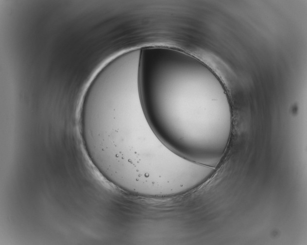X0000097951140200803241013
