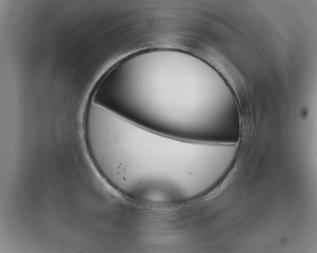 X0000097951141200803241013