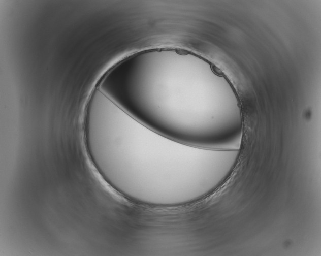 X0000097951142200803241013