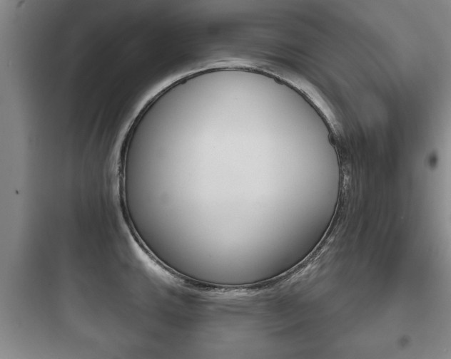 X0000097951143200803241013