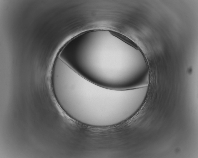 X0000097951144200803241013