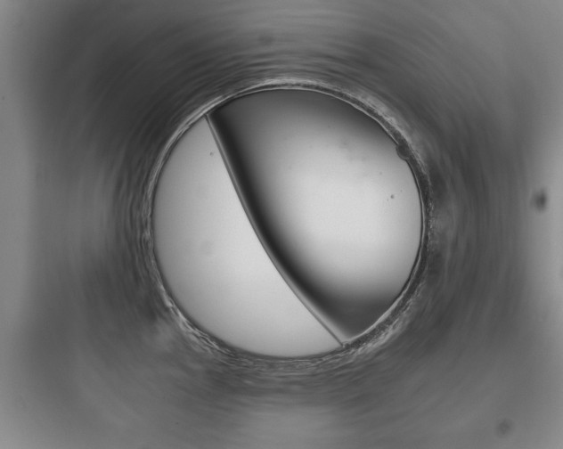 X0000097951145200803241013