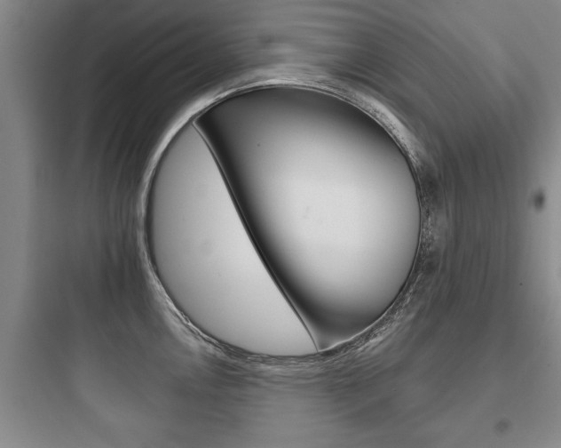 X0000097951146200803241013