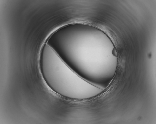 X0000097951147200803241013