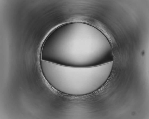 X0000097951148200803241013