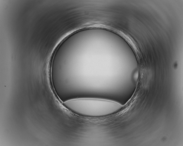 X0000097951149200803241013