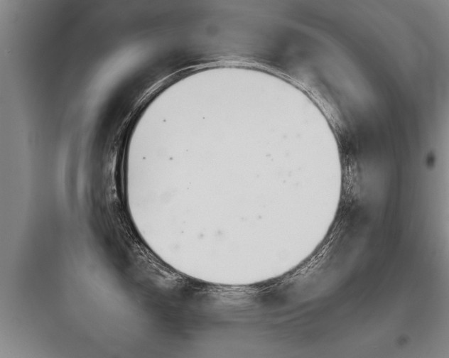 X0000097951150200803241013