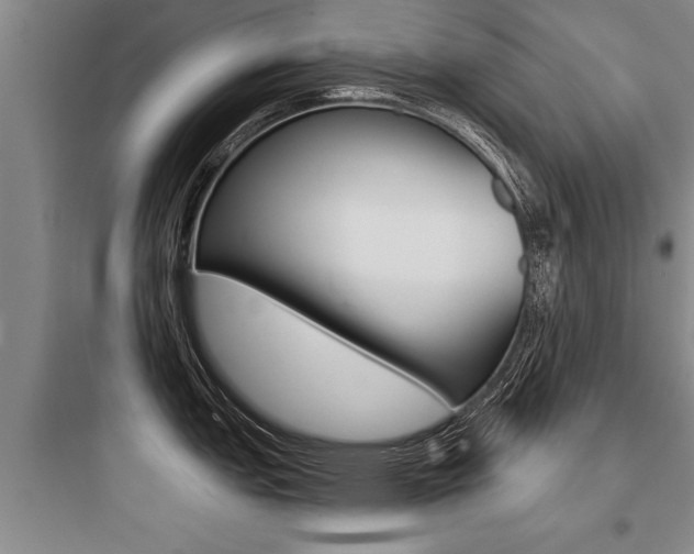 X0000097951151200803241013