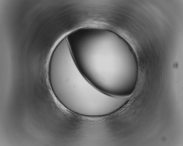 X0000097951152200803241013