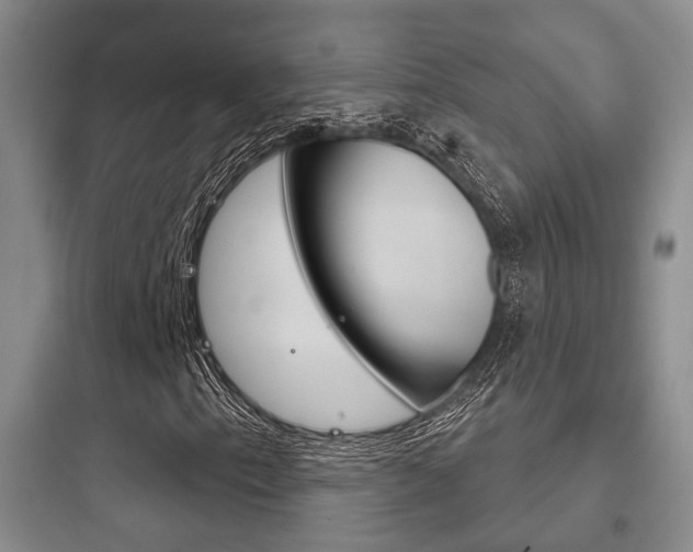 X0000097951153200803241012