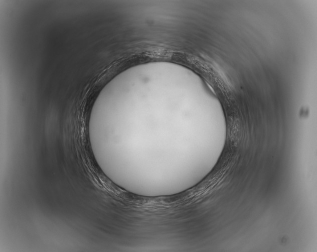 X0000097951154200803241012