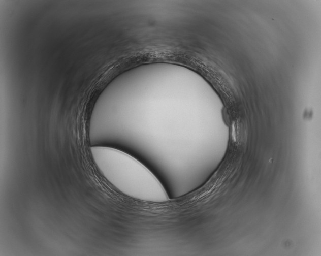 X0000097951155200803241012