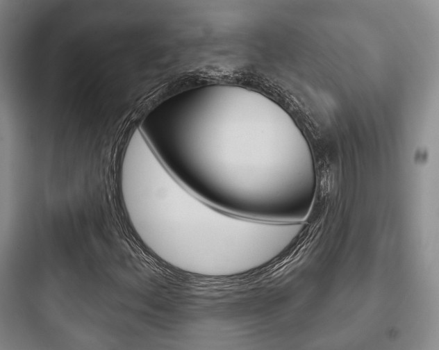 X0000097951156200803241012