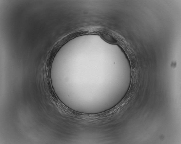 X0000097951158200803241012