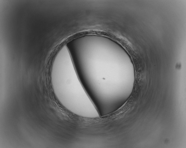 X0000097951159200803241012