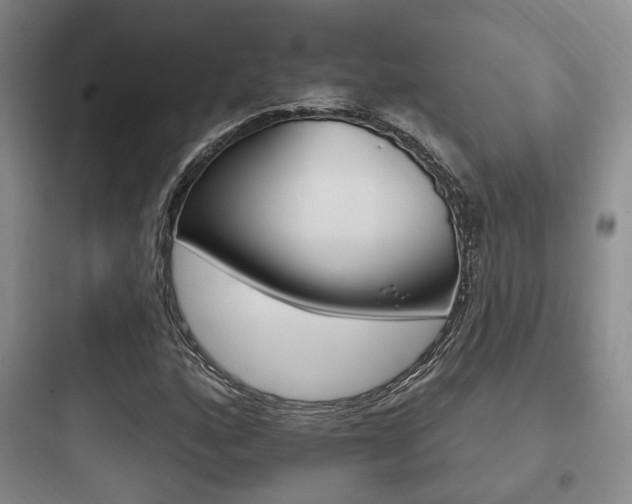 X0000097951160200803241012