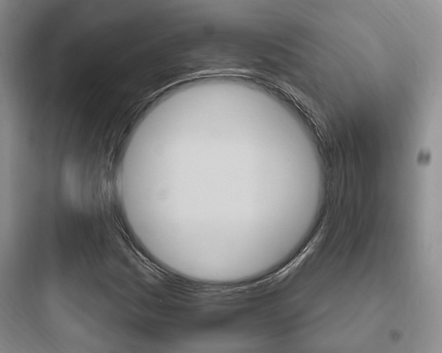 X0000097951161200803241012
