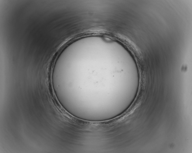 X0000097951162200803241012