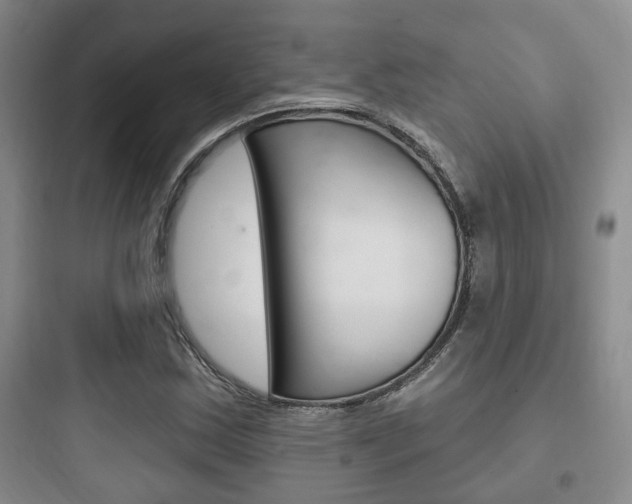 X0000097951163200803241012