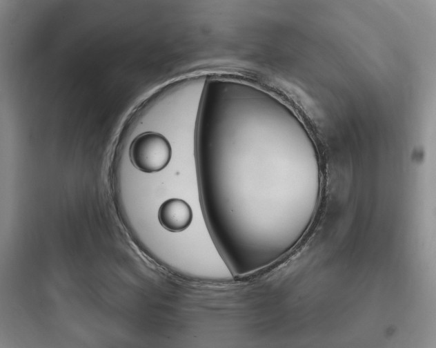 X0000097951164200803241012