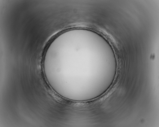 X0000097951166200803241012