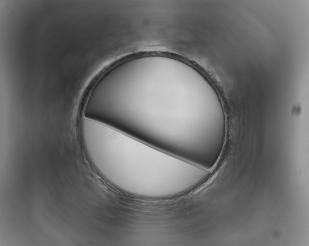 X0000097951167200803241012