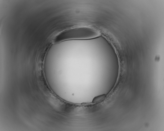 X0000097951169200803241012