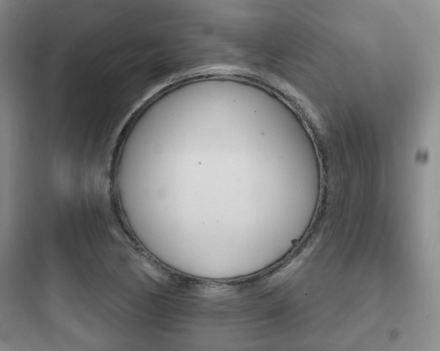 X0000097951170200803241012