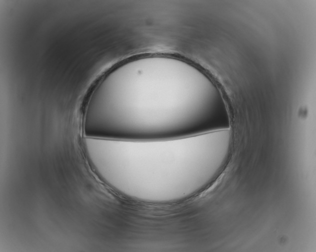 X0000097951171200803241012