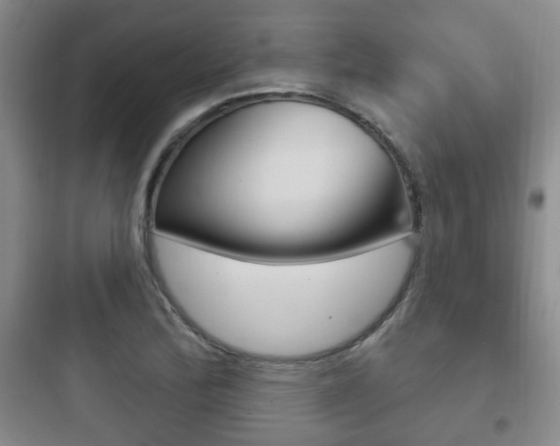 X0000097951172200803241012