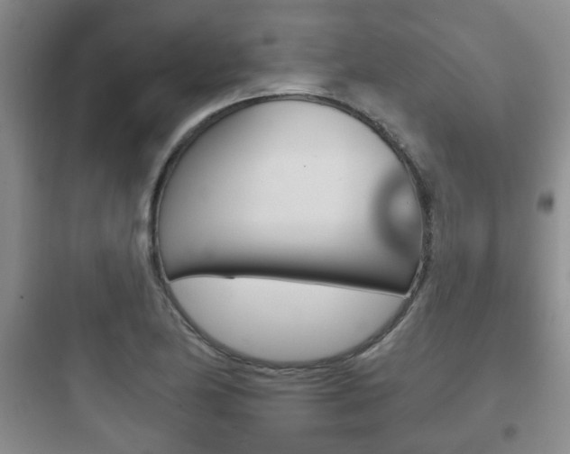 X0000097951174200803241012