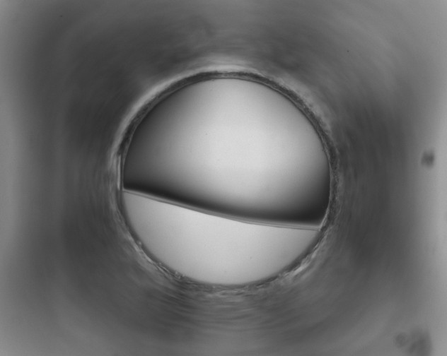 X0000097951175200803241012