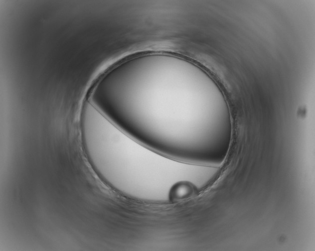 X0000097951176200803241012