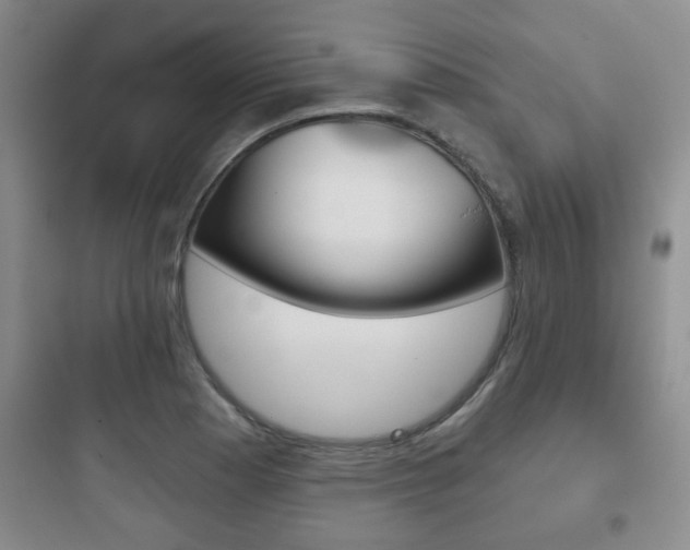 X0000097951177200803241012