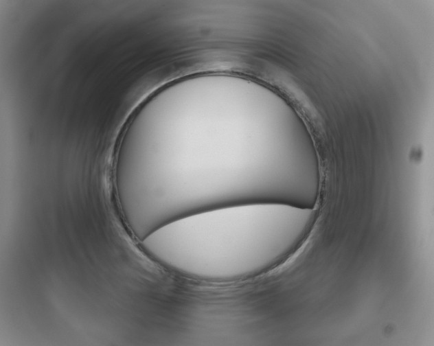 X0000097951178200803241012
