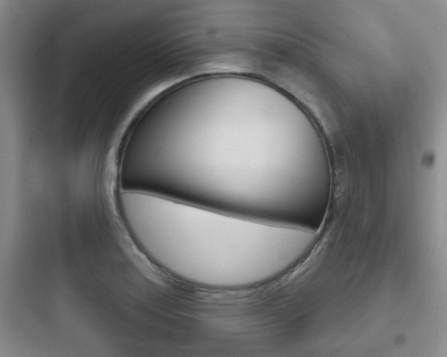 X0000097951179200803241012