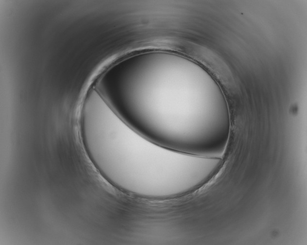 X0000097951180200803241012
