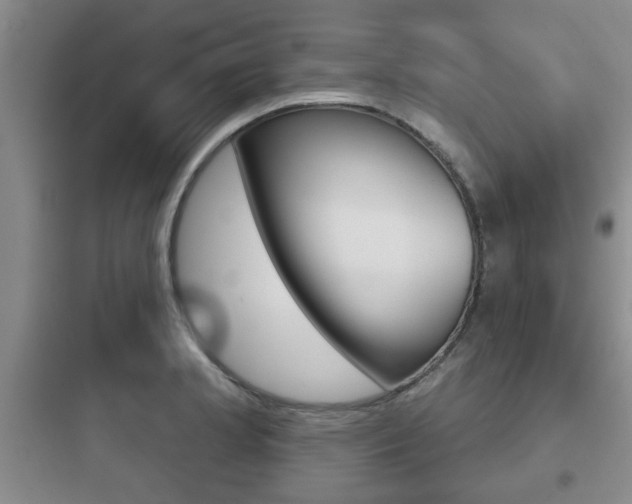 X0000097951181200803241012