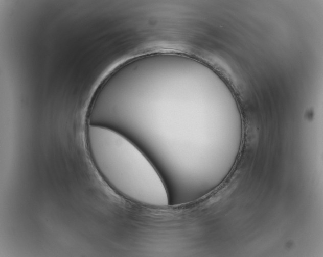 X0000097951182200803241012