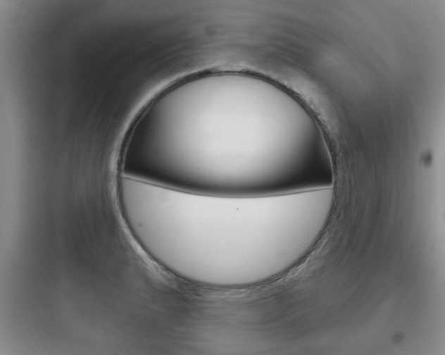 X0000097951183200803241012