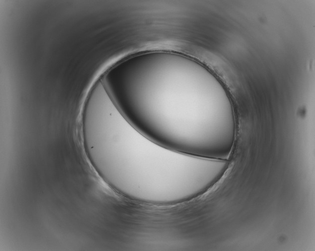 X0000097951184200803241012