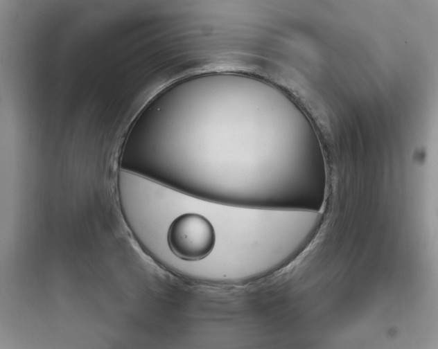 X0000097951185200803241012