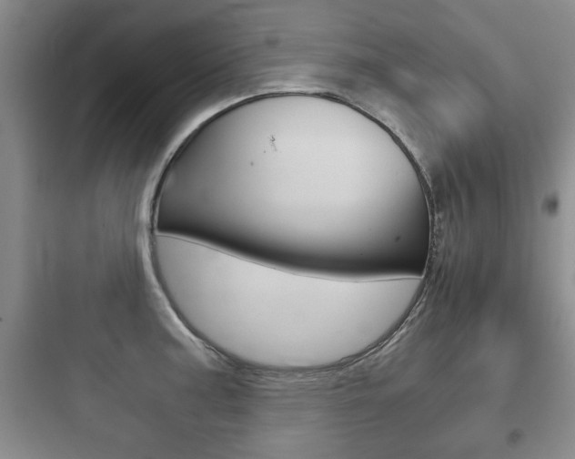 X0000097951187200803241012