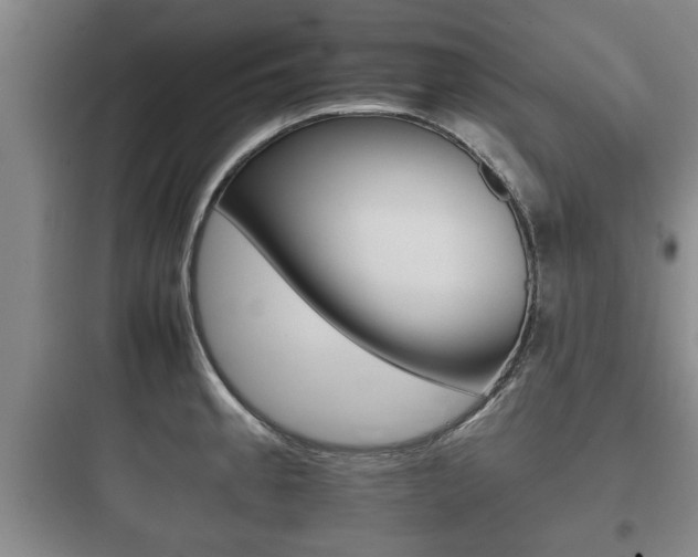 X0000097951189200803241011