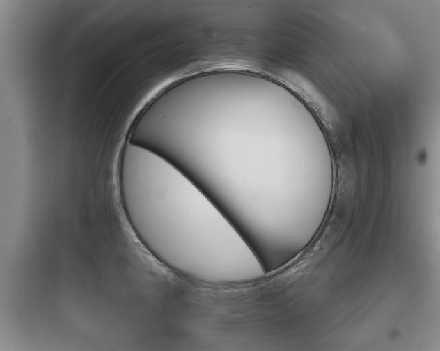 X0000097951190200803241011